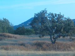 IMG_0160.JPG