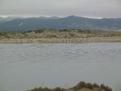IMG_0206.JPG