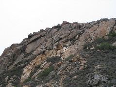 IMG_0207.JPG