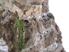 IMG_0216.JPG