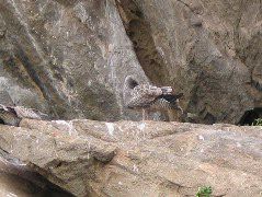 IMG_0218.JPG