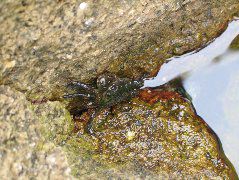IMG_0220.JPG