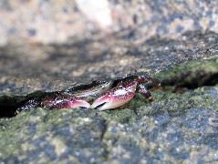 IMG_0221.JPG