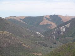 IMG_0233.JPG
