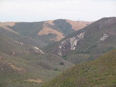 IMG_0234.JPG