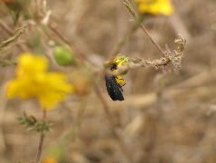 IMG_0235.JPG