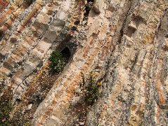IMG_0237.JPG
