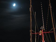 IMG_0261.JPG