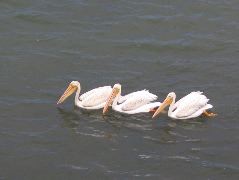 IMG_0272.JPG