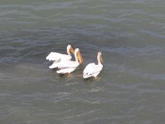 IMG_0273.JPG