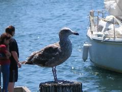 IMG_0284.JPG