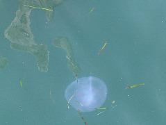 IMG_0285.JPG