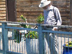 IMG_0286.JPG