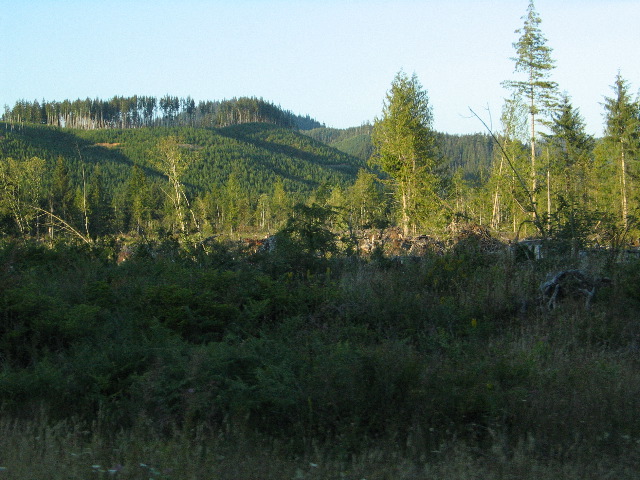 IMG_0423.JPG