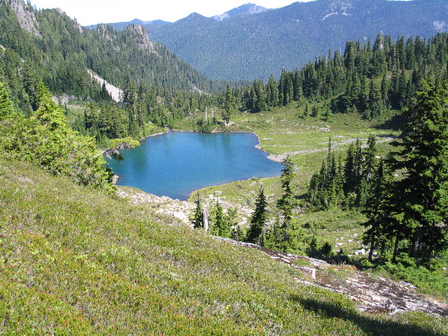 IMG_0537.JPG
