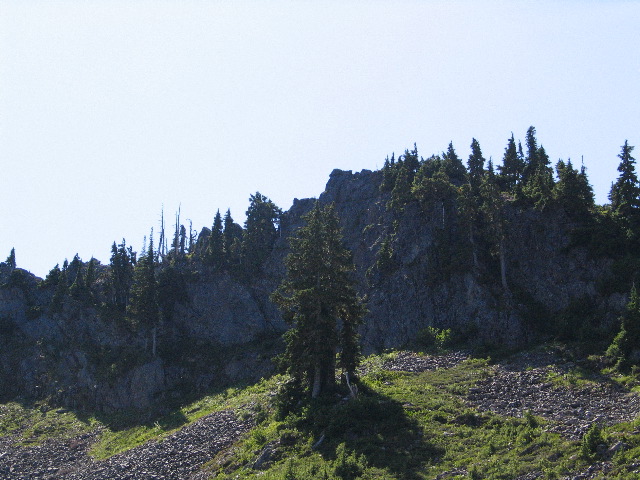 IMG_0540.JPG