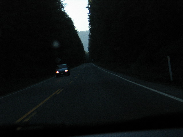 IMG_0425.JPG
