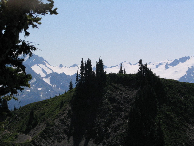 IMG_0564.JPG