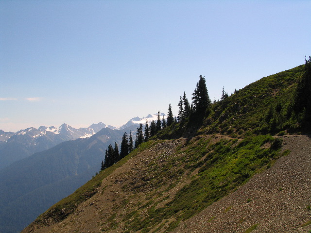 IMG_0571.JPG