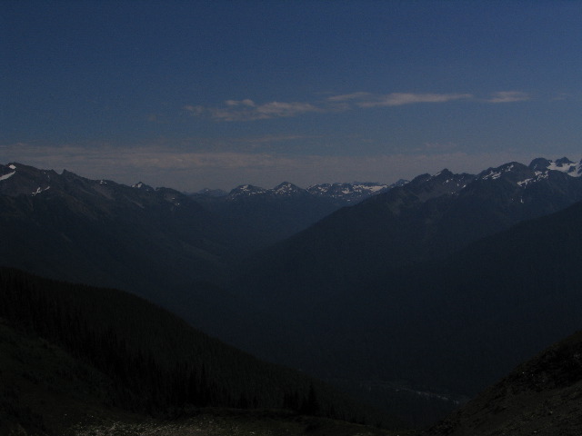 IMG_0575.JPG