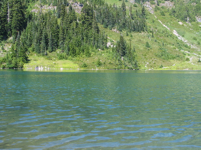IMG_0587.JPG