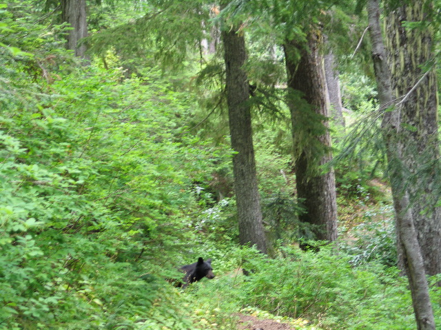 IMG_0600.JPG