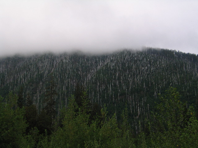 IMG_0628.JPG