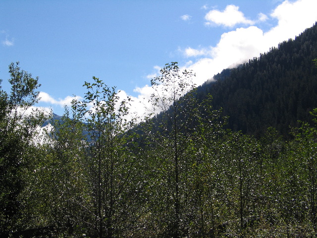 IMG_0644.JPG
