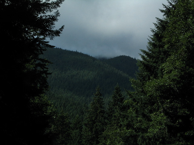 IMG_0690.JPG