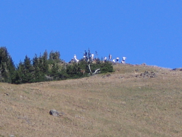 IMG_0702.JPG