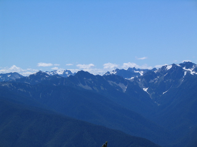 STE_0711.JPG