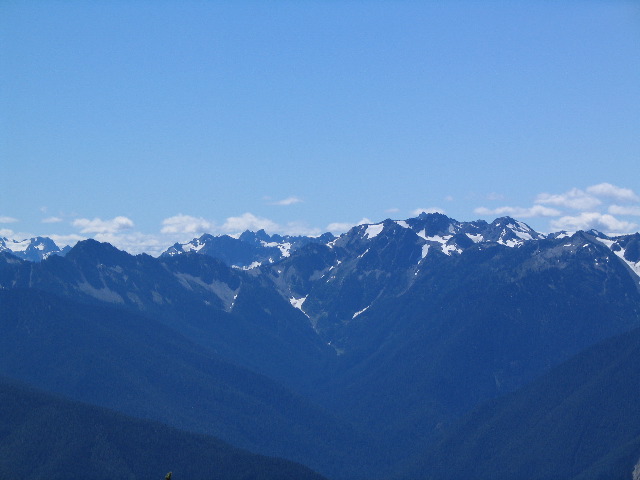 STF_0712.JPG