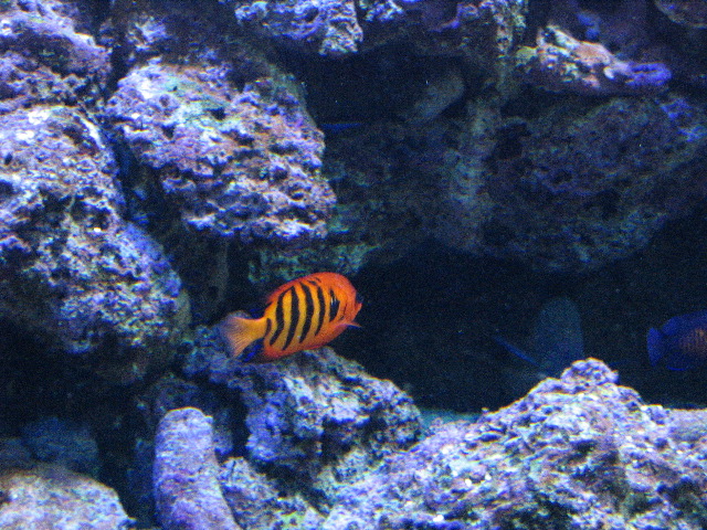 IMG_0750.JPG