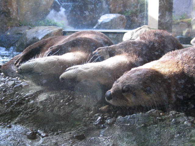 IMG_0756.JPG