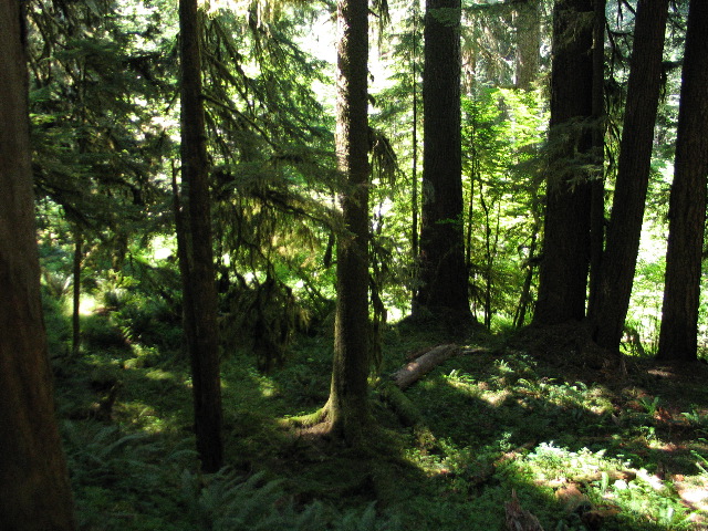 IMG_0457.JPG