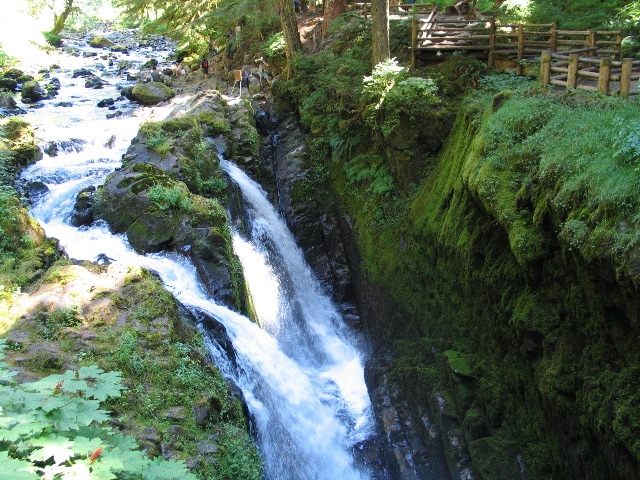 IMG_0464.JPG