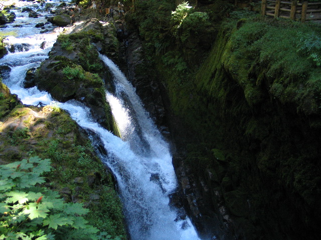 IMG_0465.JPG