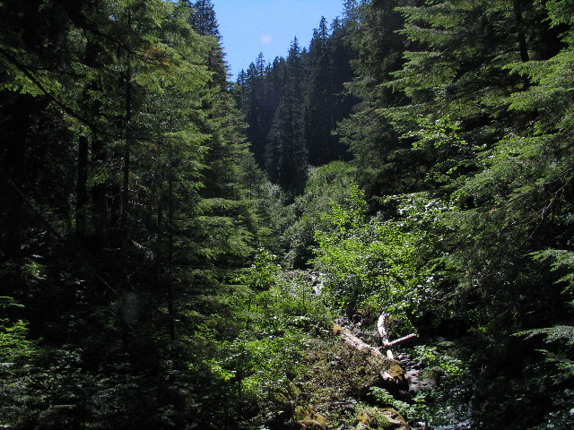 IMG_0476.JPG