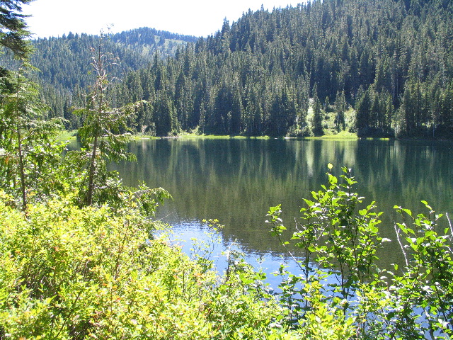 IMG_0488.JPG