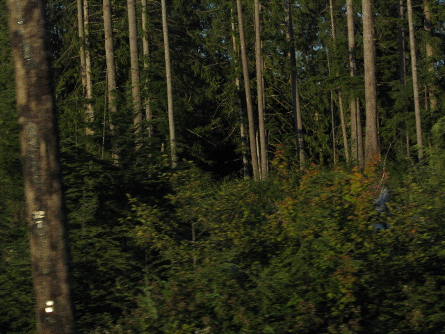 IMG_0419.JPG