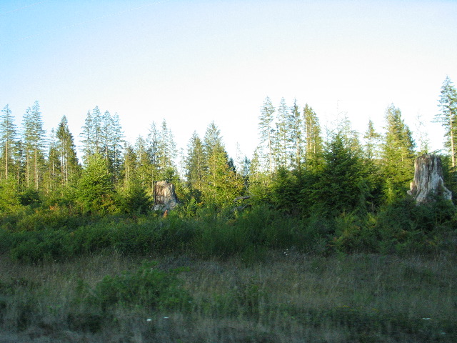 IMG_0420.JPG