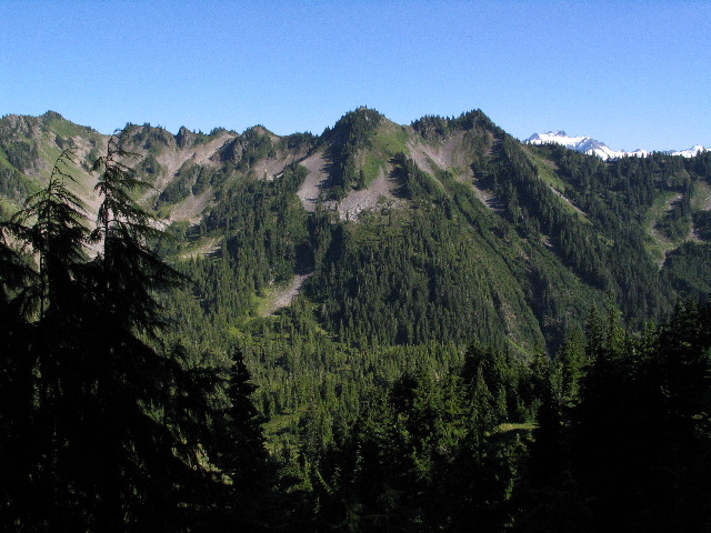IMG_0502.JPG