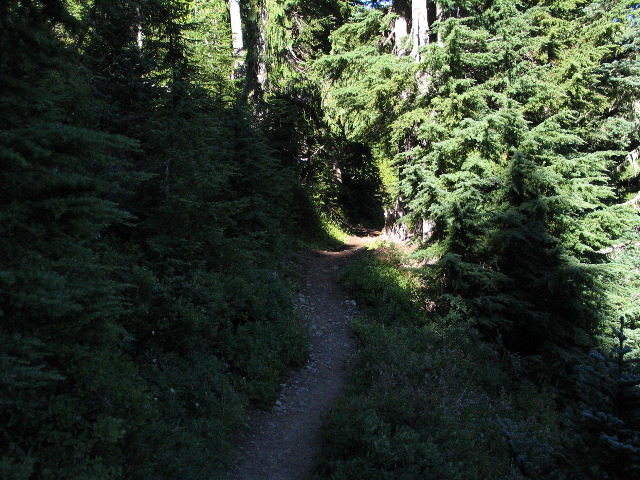 IMG_0503.JPG