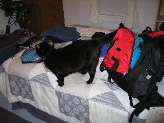 IMG_0401.JPG