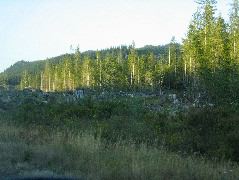 IMG_0422.JPG