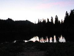 IMG_0521.JPG