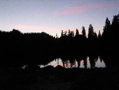 IMG_0524.JPG