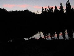 IMG_0526.JPG