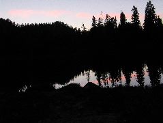 IMG_0527.JPG