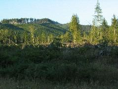 IMG_0423.JPG